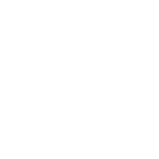 Burning Lights logo